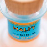 "MALFY" con Arancia Gin