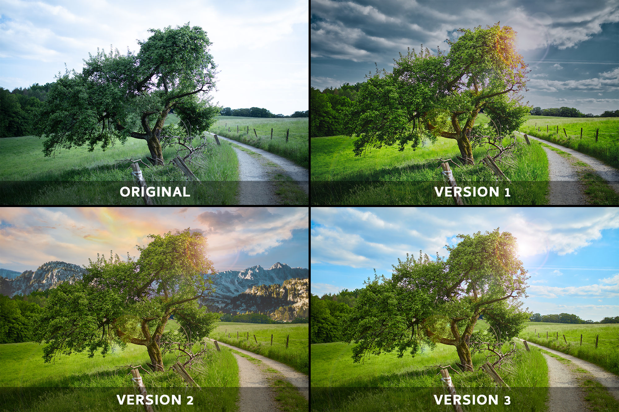 1 Bild - 4 Versionen: Dramatic Tree