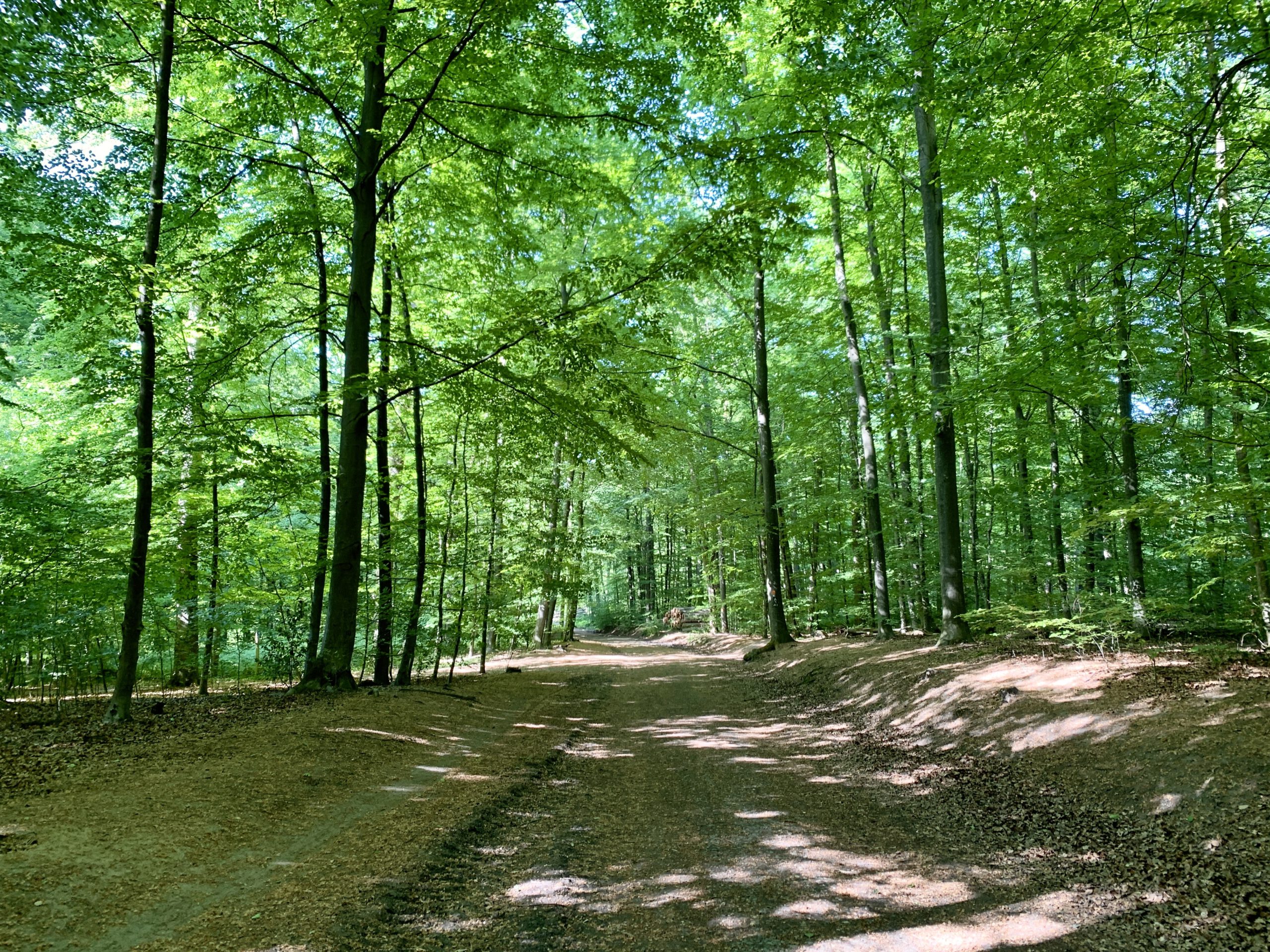 Bensberger_Schlossweg13
