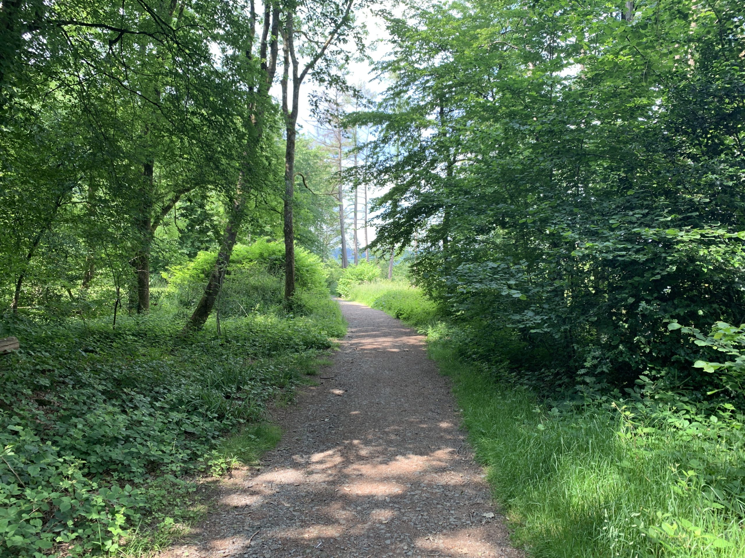 Klangpfad_Nuembrecht5