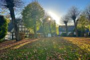 Wanderung 16 -  Baumweg in Morsbach
