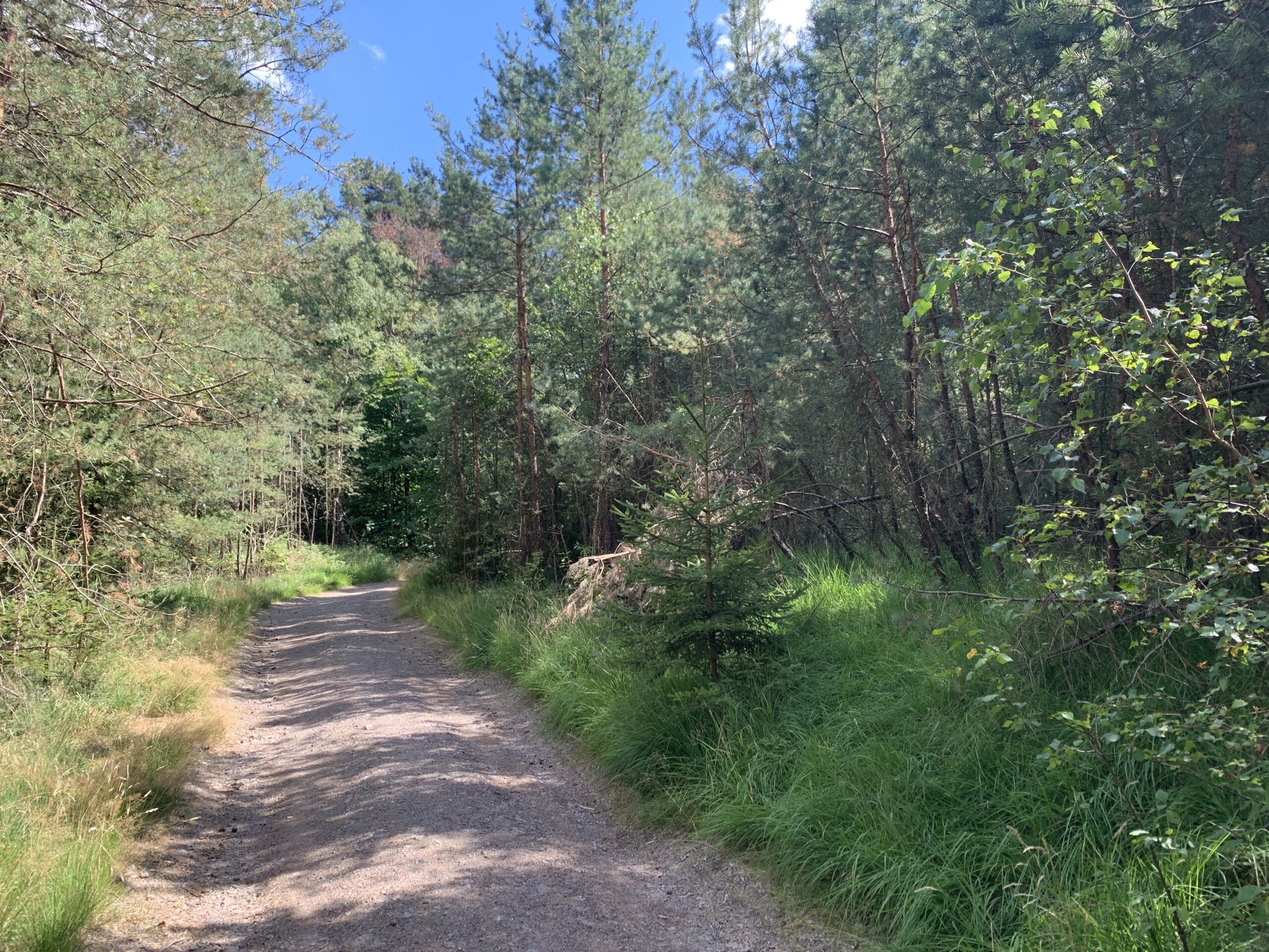 Bergbauweg5