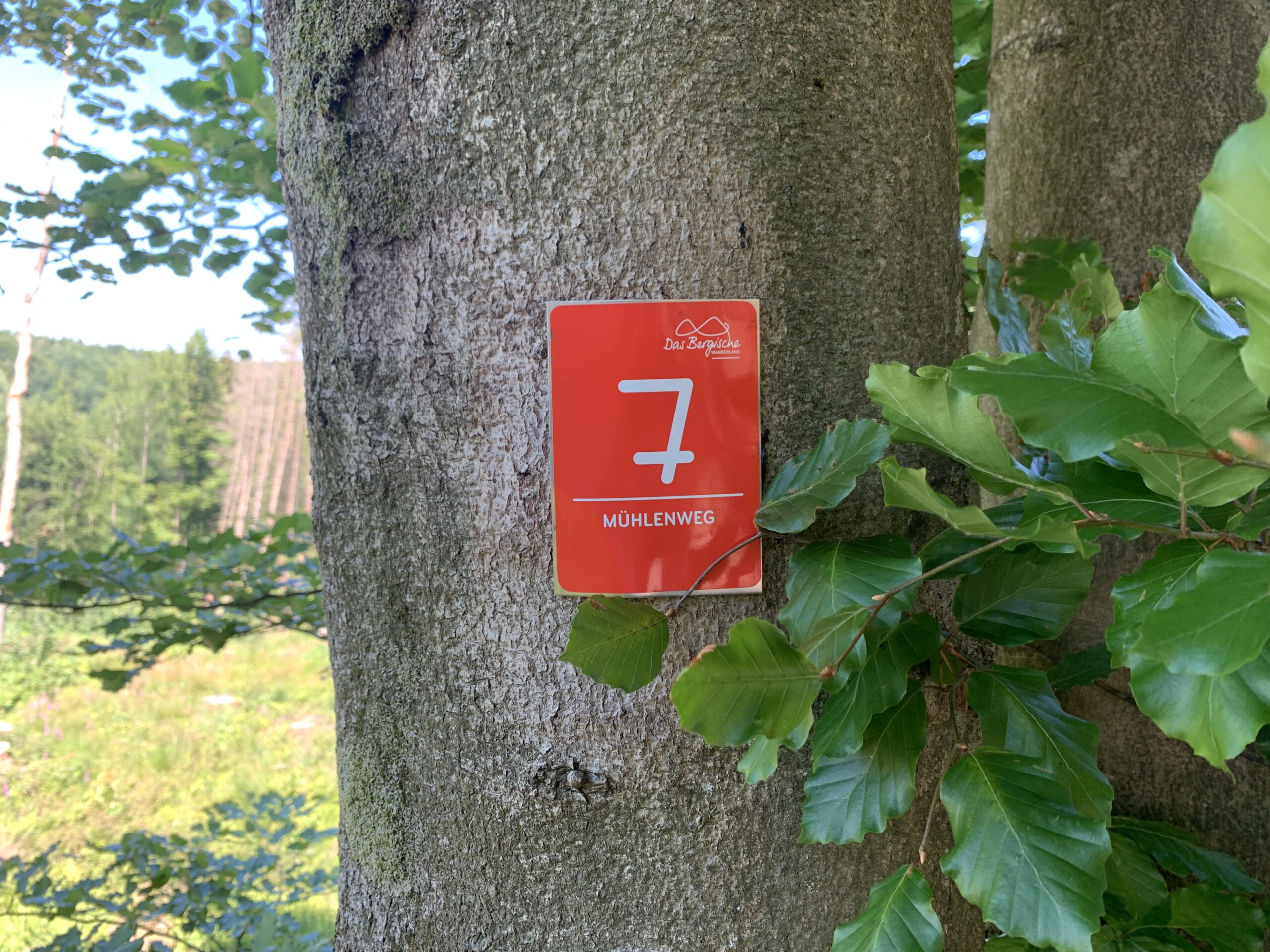 Muehlenweg4