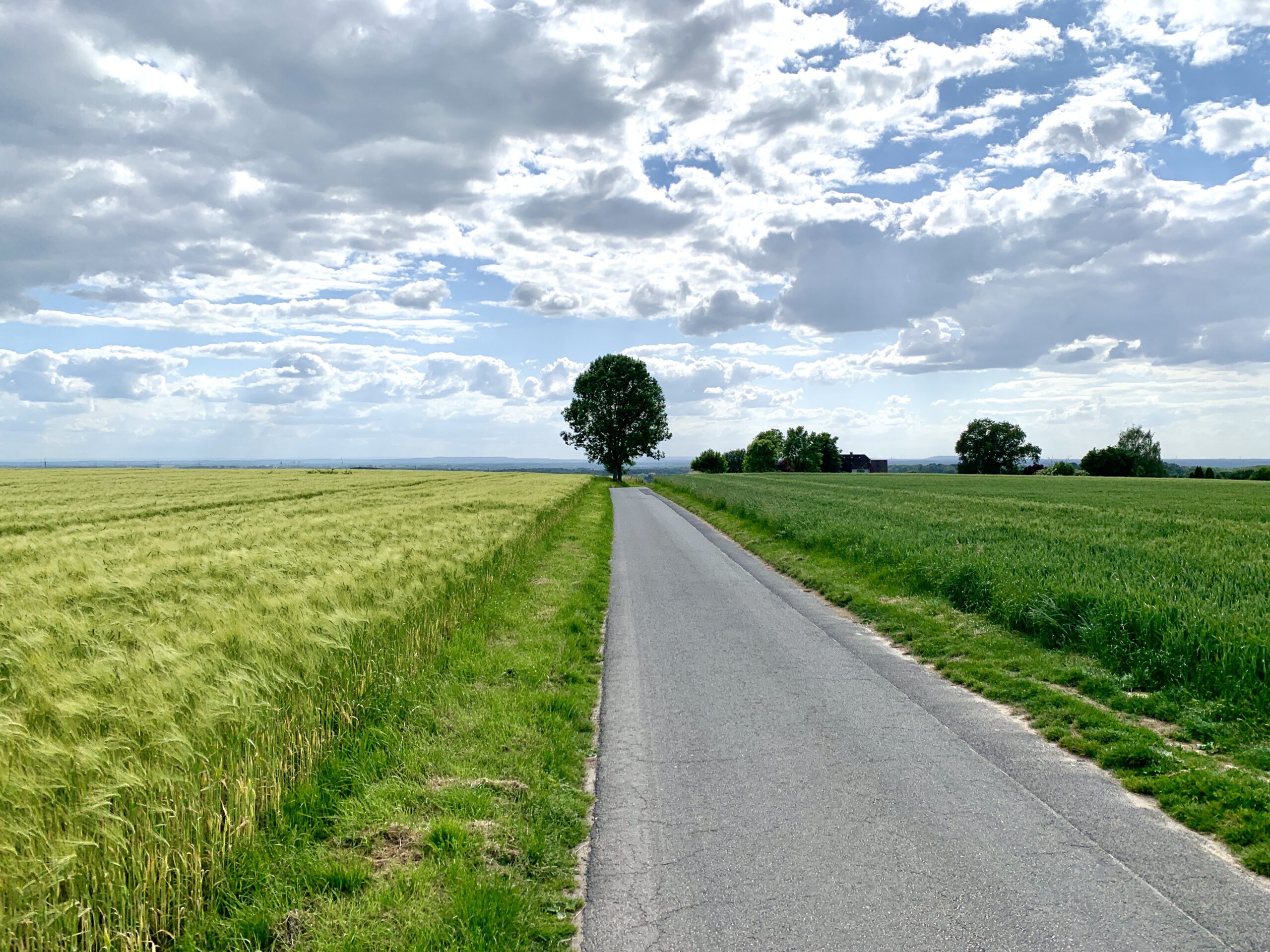 Obstweg_Leichlingen11