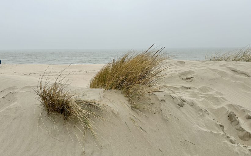 Wanderung Bredene -  Waterkantpad