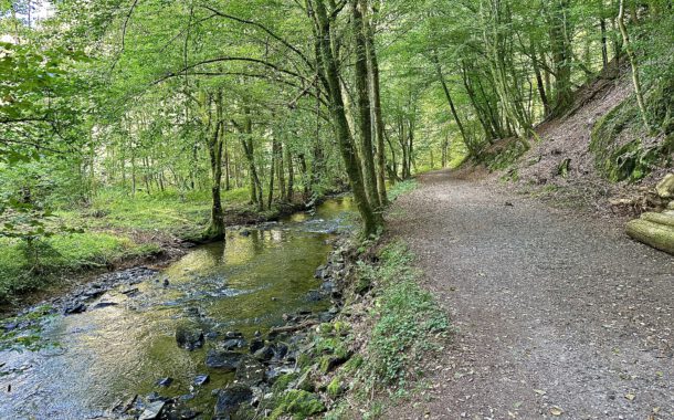 Wanderung 24 -  Eifgenbachweg im Eifgenbachtal